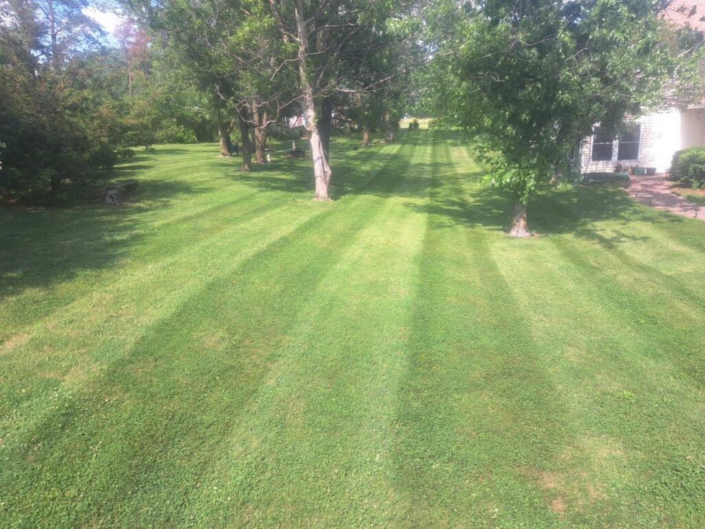 Jorge's Lawn and Landscaping LLC (20)