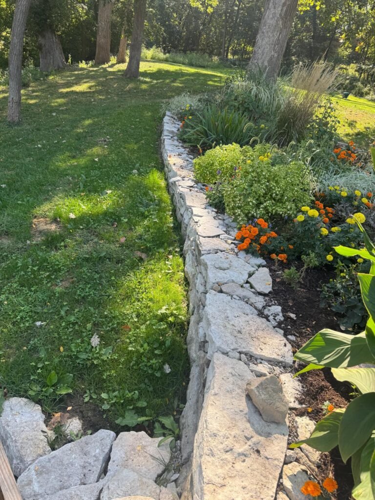 Jorge's Lawn and Landscaping LLC (46)