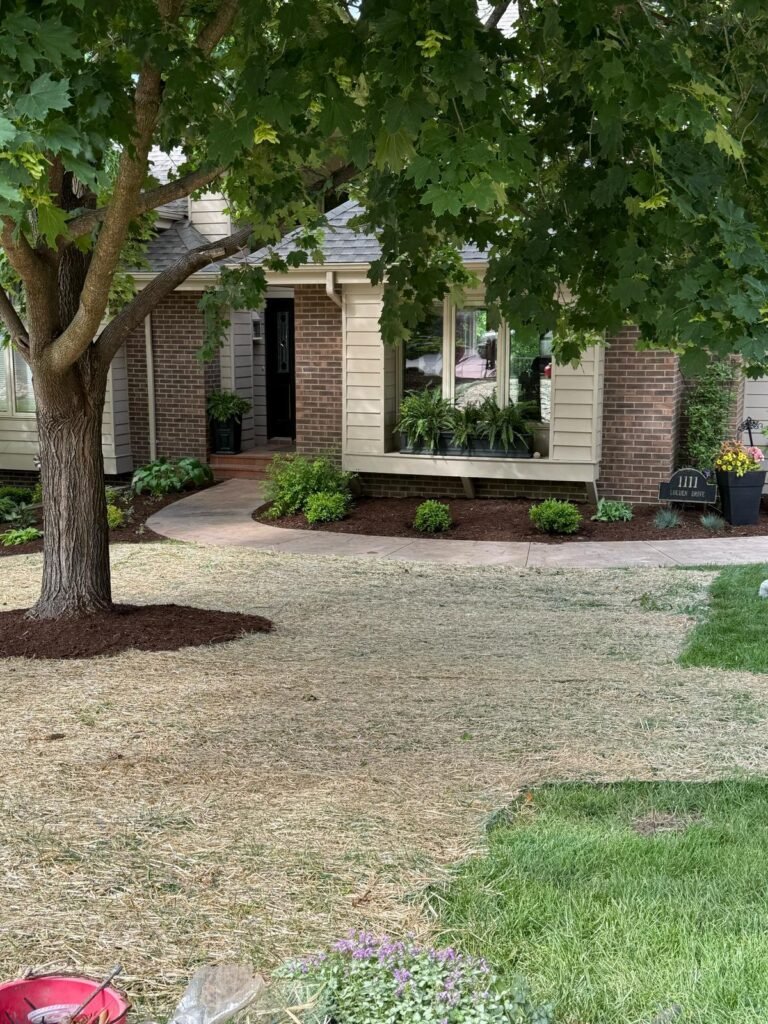 Jorge's Lawn and Landscaping LLC (67)
