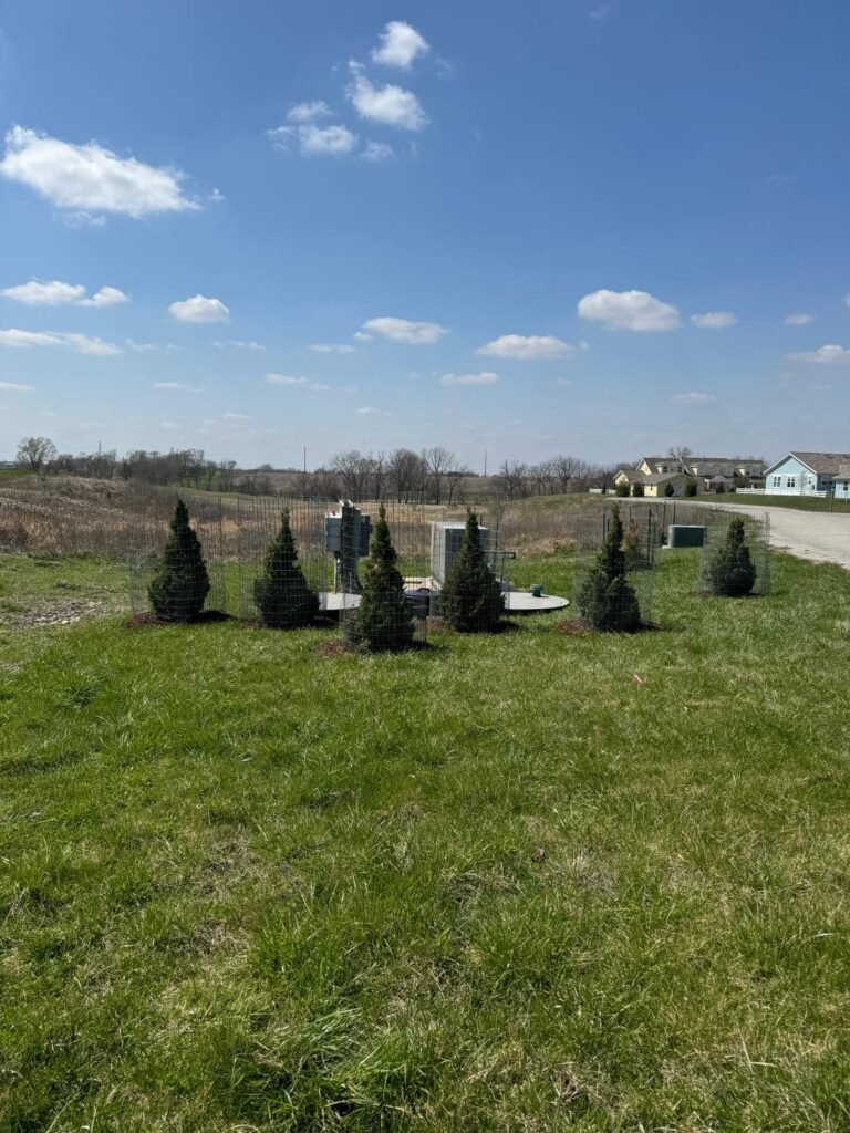 Jorge's Lawn and Landscaping LLC (93)