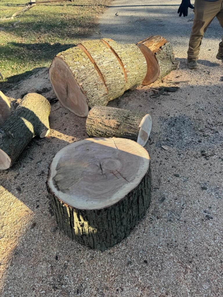 Jorge's Lawn and Landscaping LLC (96)