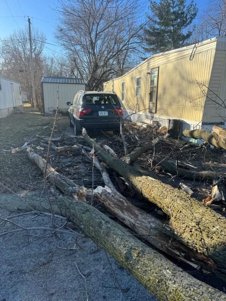Jorge's Lawn and Landscaping LLC (97)
