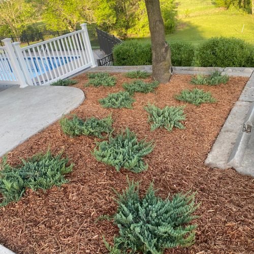 Jorge's Lawn and Landscaping LLC (117)