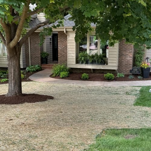Jorge's Lawn and Landscaping LLC (67)
